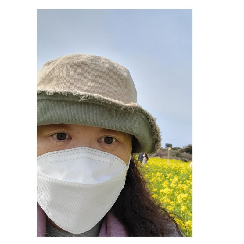 섬줌마 라이프 Logo