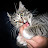 @0ecka Avatar