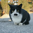 Channel Image