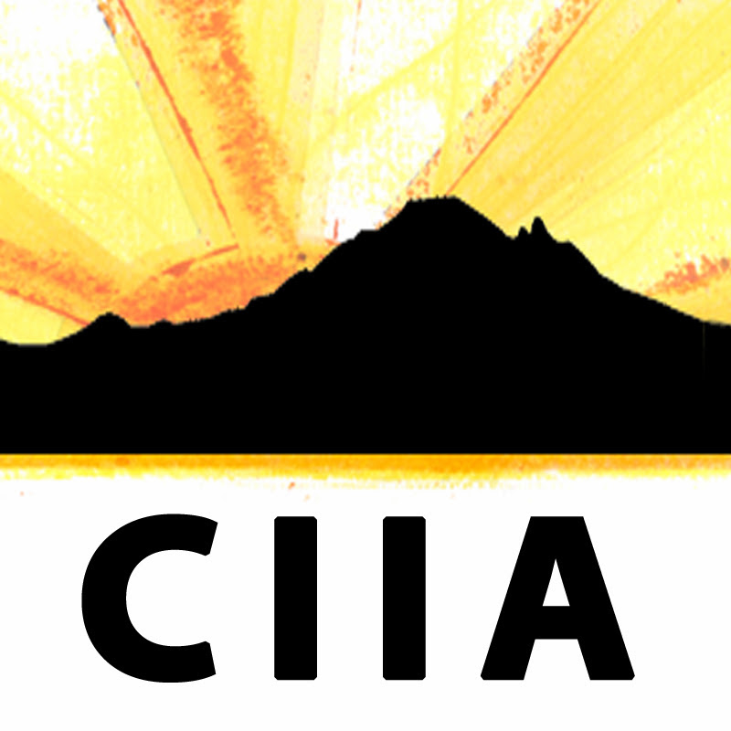 Center for Instructional Innovation and Assessment icon
