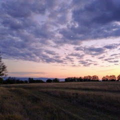 Our little Bulgarian adventure net worth