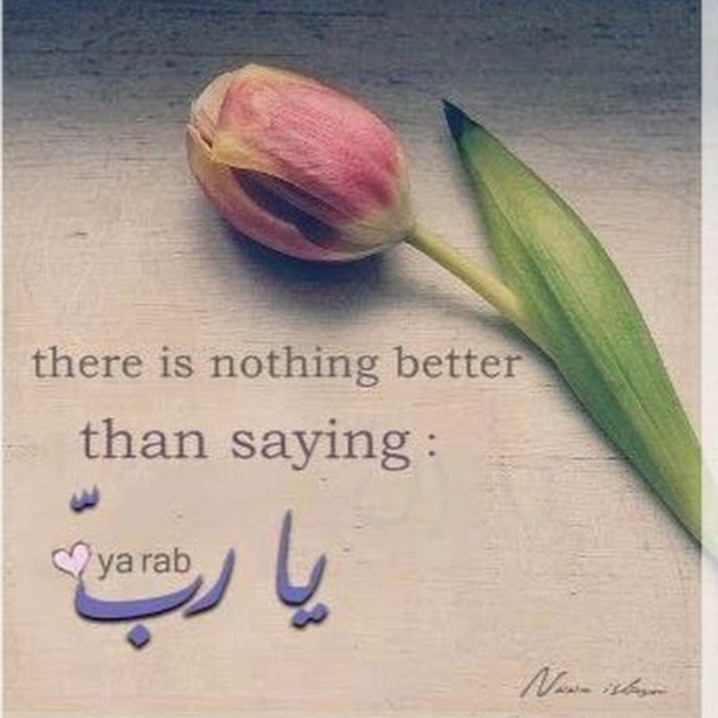 yara mohammed