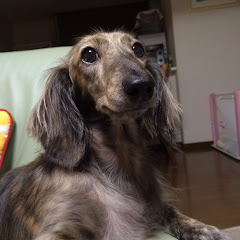 風音げーみんぐ