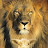 @rday747 Avatar