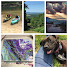 F9Fu2M560PA-channel-avatar-Ozark Mountain Girl