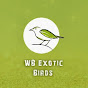 WB Exotic Birds logo