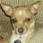 @rbear4574 Avatar