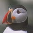0rgnh04ElQk-channel-avatar-Uq2wayt