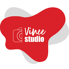Vinee Studio net worth