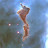 @Warpsmasher's avatar