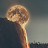 @garinpaul7104 Avatar