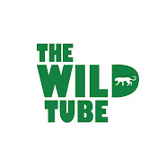 The Wild Tube
