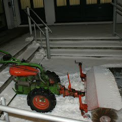 schlammschlange1