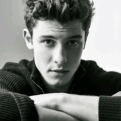 Shawn Mendes vevo
