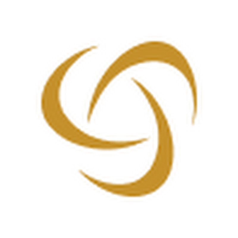 Capital International Group