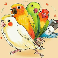 Логотип каналу Amor Por Pássaros