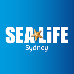 SEA LIFE Sydney Aquarium