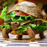 OqTrsjdQE50-channel-avatar-Cannibal Turtle