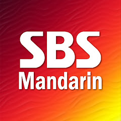 SBS Mandarin 官方中字 Avatar