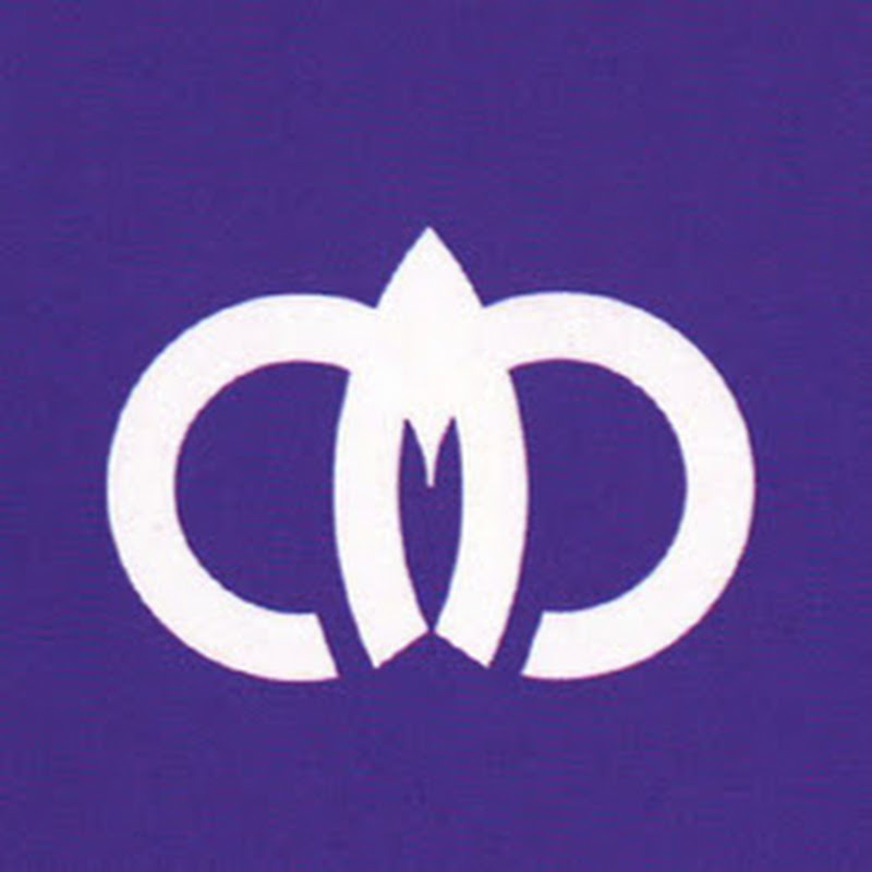 穴水町公式チャンネル logo