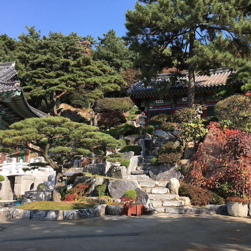 Seoul Warriors