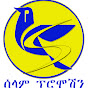 Selam Promotion Service logo