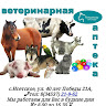 Автор