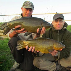 The Specimen Hunters