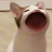 @user-yo2np5bl5t