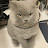 @kabon9886