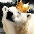 mPWucwmOdfA-channel-avatar-Bearking