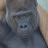 @user-ku2so5hw2z
