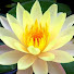 Y8h7jAakM5k-channel-avatar-Shruti dhara d.