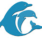Dolphin Communication Project logo