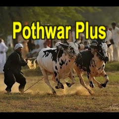 Pothwar Plus Avatar