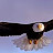 @eaglefeather4720's avatar
