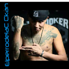 ElperrodelaC Ckan