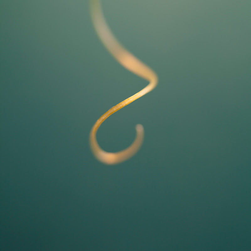 Euthymia - Pleine conscience & MBSR