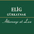NEWiQ_wvEO8-channel-avatar-ELIG Gürkaynak Attorneys-at-Law