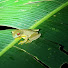 3hPKJd_Hywc-channel-avatar-JR Gimenez