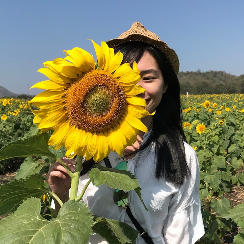 mintravels