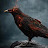 @Rusty0Raven