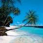 TropicalParadiseBaby Avatar