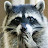 youtube avatar