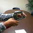 b1xug0Emv9U-channel-avatar-goldhillnurseryadmin