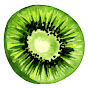 Kiwi Healthy logo