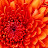 @loriejones7553 Avatar