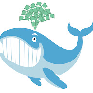 Unusual Whales