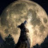 KzJ4CiIvbLg-channel-avatar-True Crime And Moonshine
