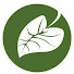 RdrTisWU6_Y-channel-avatar-OHAHawaii